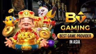 From Bonus Rounds to Big Wins The BT Gaming Experience